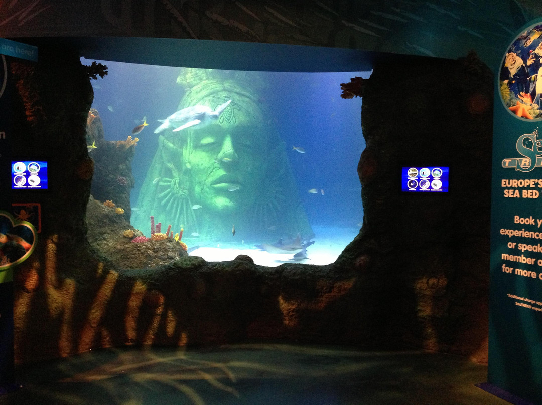 Sea Life Manchester-Trafford Park必去景点