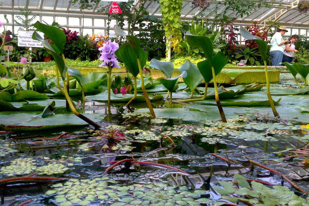 植物公园景点图片
