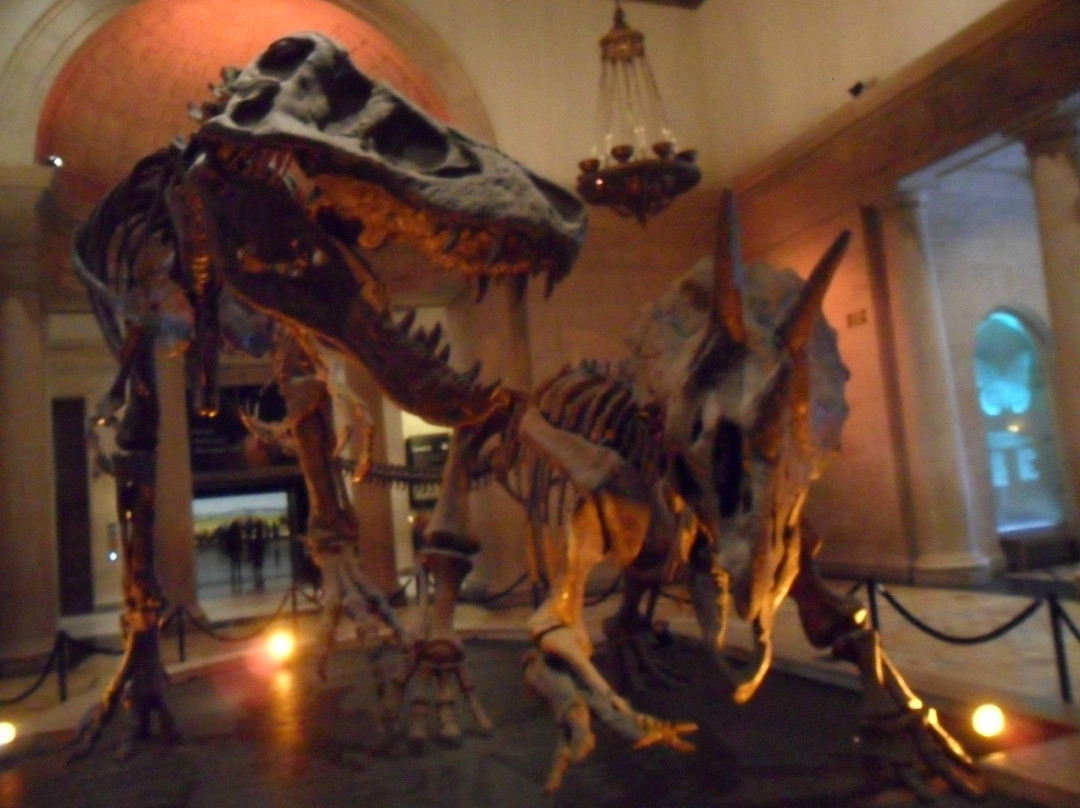 洛杉矶县自然历史博物馆-洛杉矶必去景点