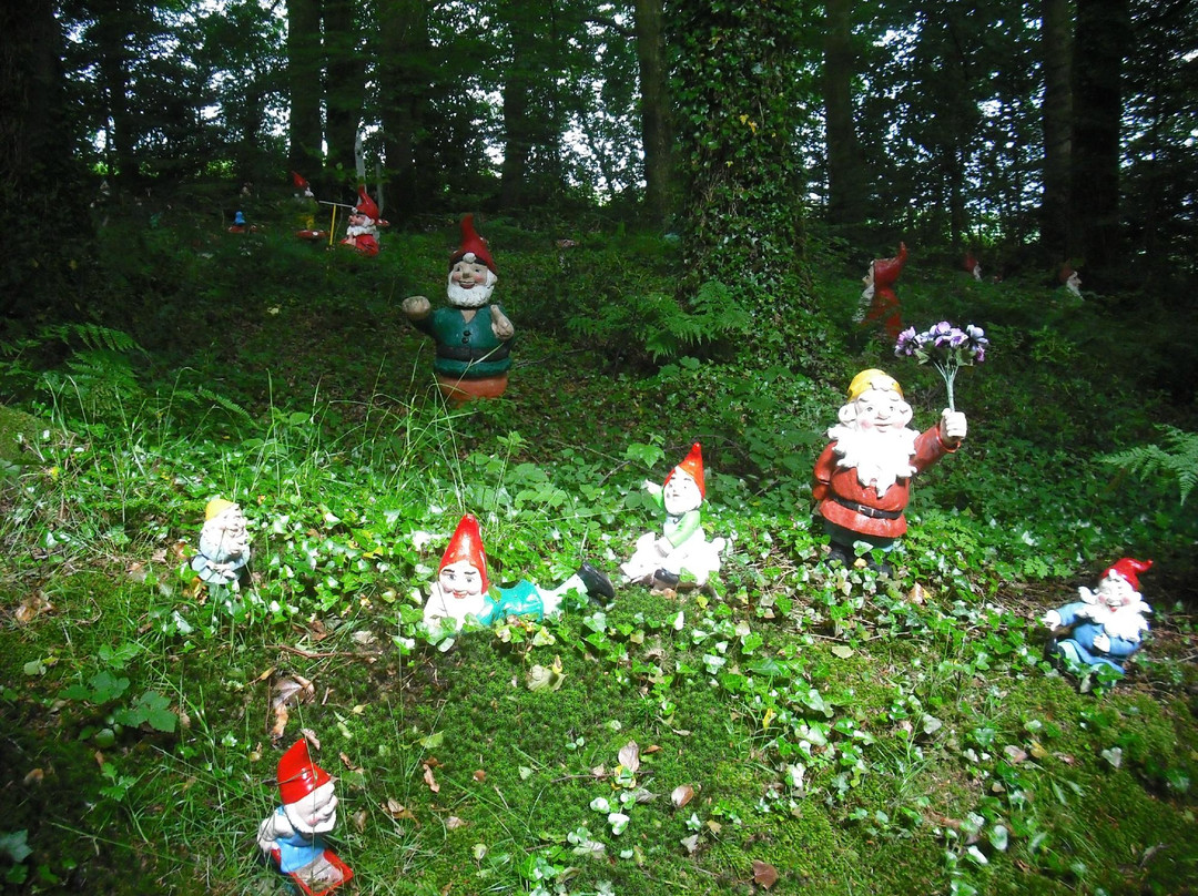 The Gnome Reserve & Wild Flower Garden景点图片