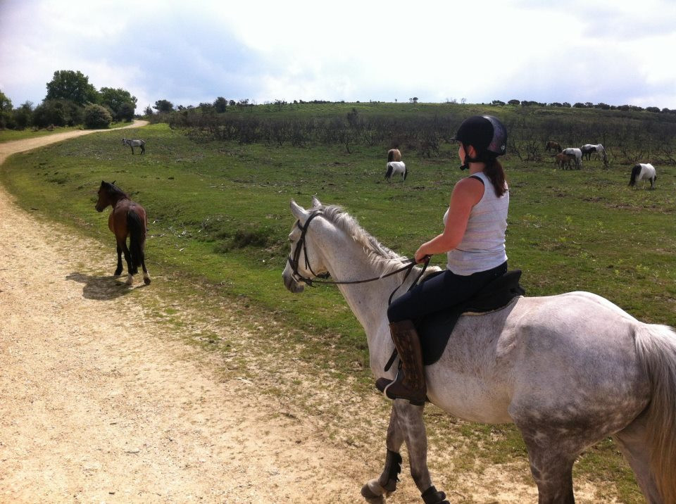 Arniss Equestrian景点图片