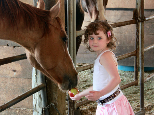 Erin Valley Riding Stables-坎卢普斯必去景点