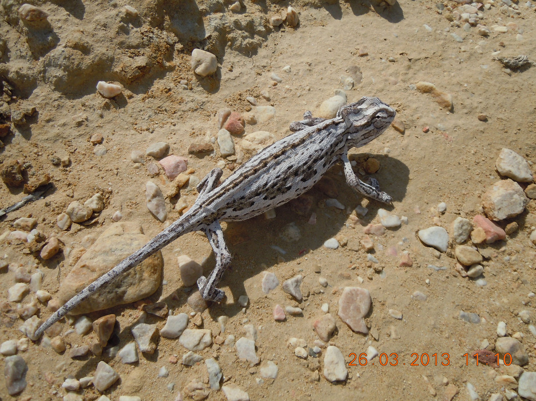 Wolwekraal Nature Reserve景点图片