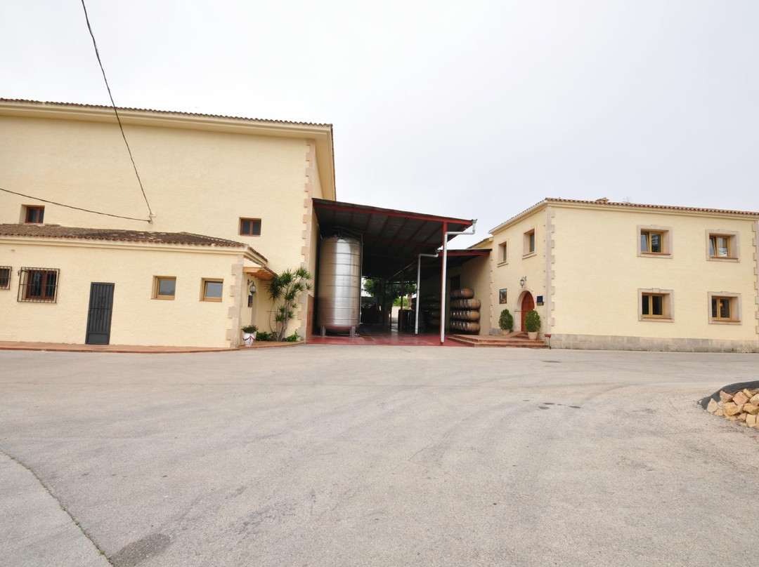 Bodegas Enrique Mendoza景点图片