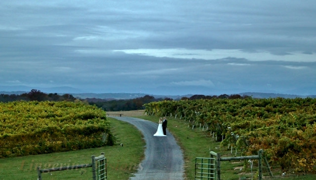 Barren Ridge Vineyards-Fishersville必去景点