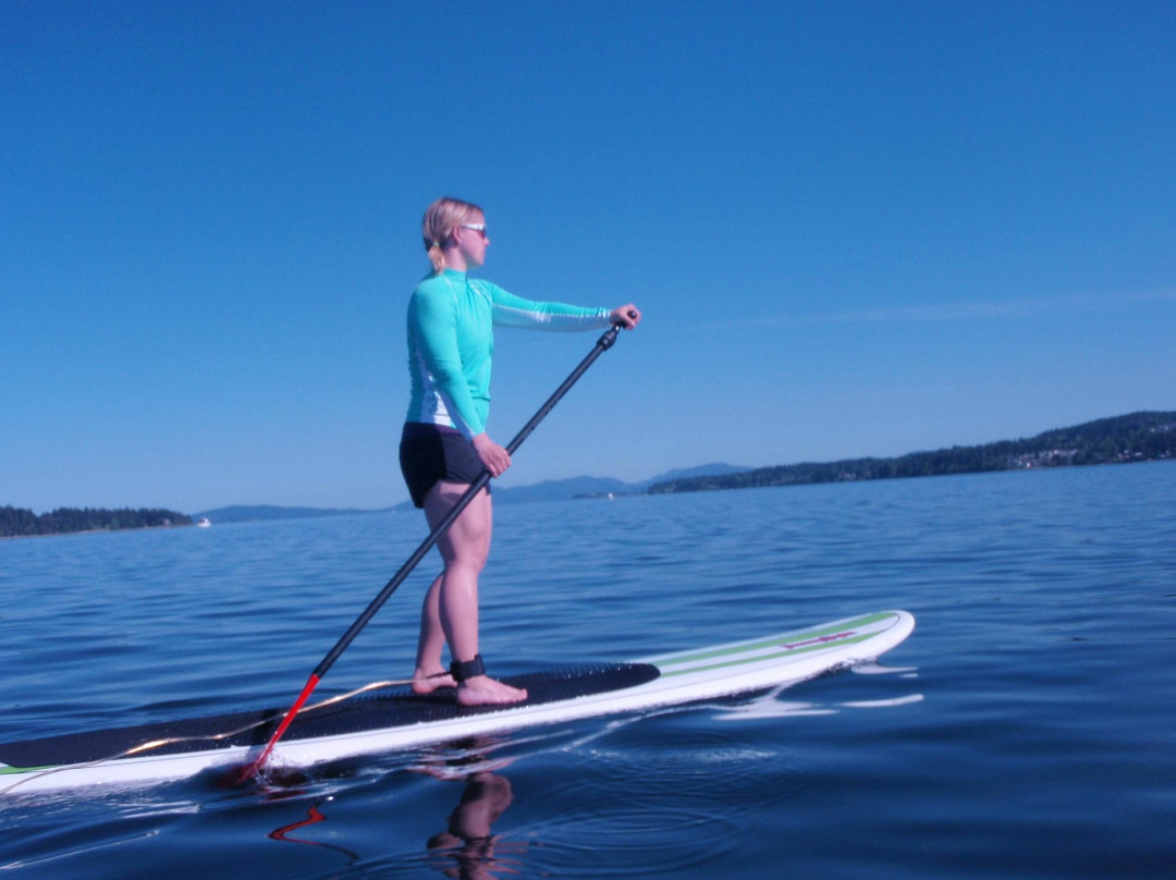 Sealegs Kayaking & Marine Adventures景点图片