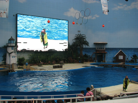 海昌极地海洋世界-天津市必去景点