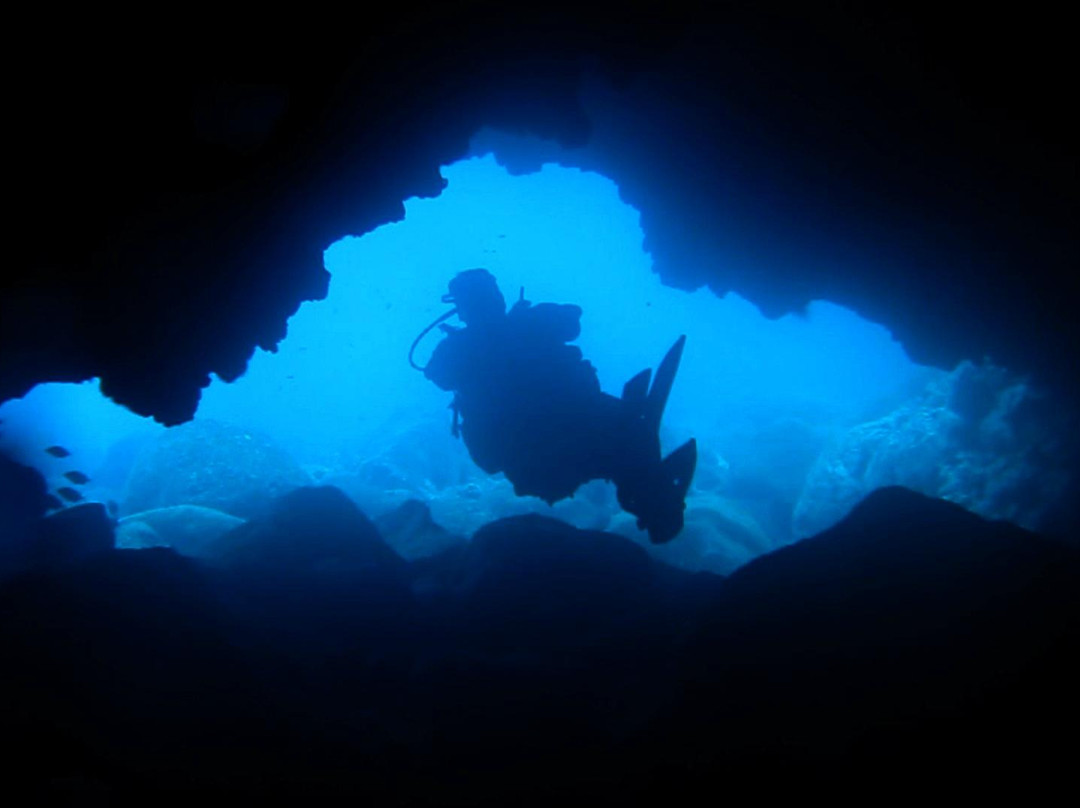 Alisios Sub Centro de Buceo-卡门港必去景点