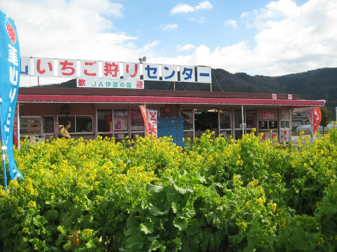 Nirayama Ichigogari Center-伊豆之国市必去景点