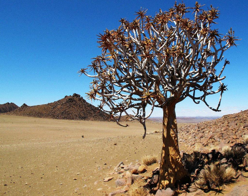 Ai-Ais Hotsprings Spa-Fish River Region必去景点