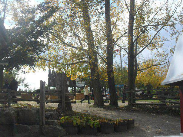 Chudleigh's Entertainment Farm-Milton必去景点