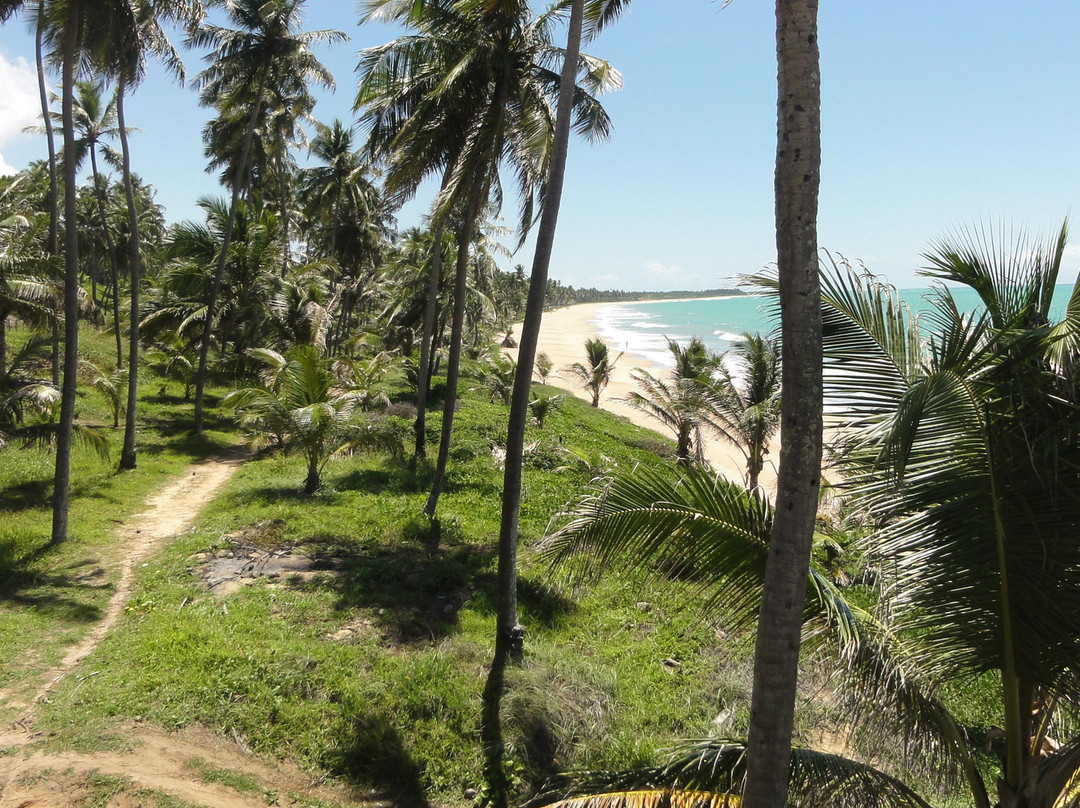 Camacho Beach-Maragogi必去景点