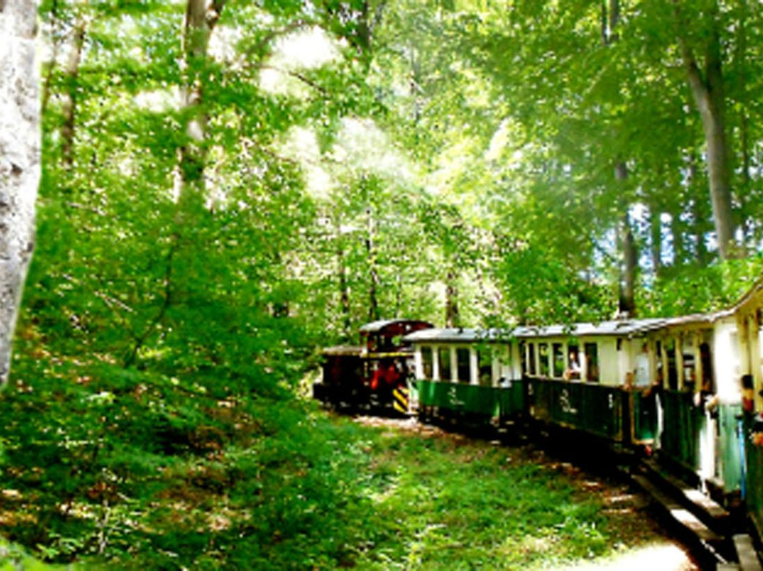 State Forest Railways of Lillafured景点图片