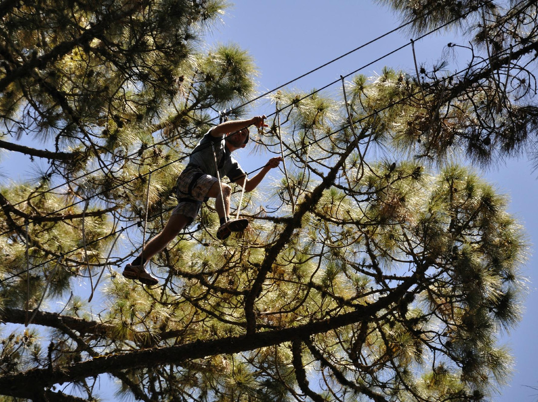 Forestal Park Tenerife景点图片