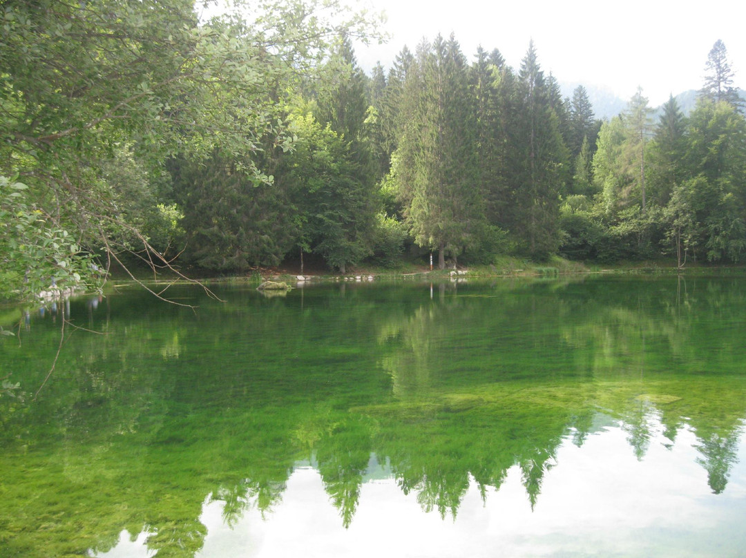 Parco Naturale Paneveggio Pale di San Martino景点图片