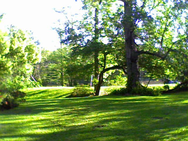 Bayou Teche Guest Cottage主图