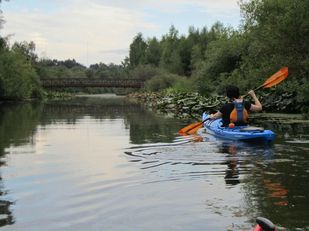 Mercer Slough Nature Park景点图片