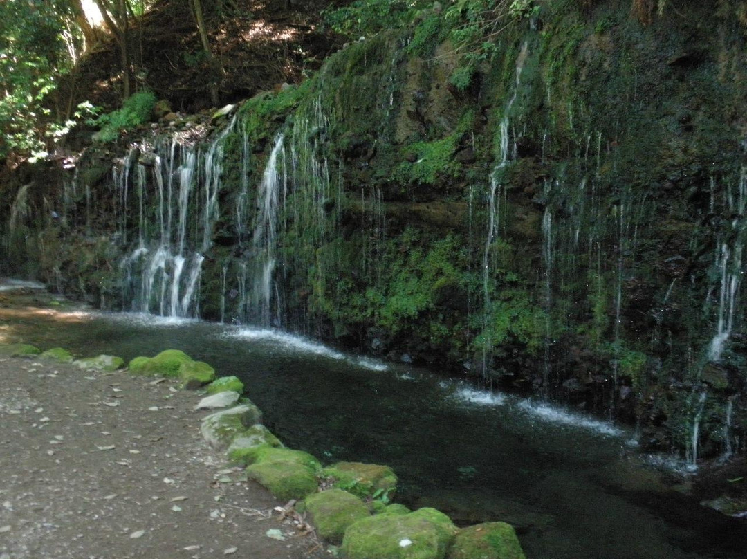 Chisuji Falls-箱根町必去景点