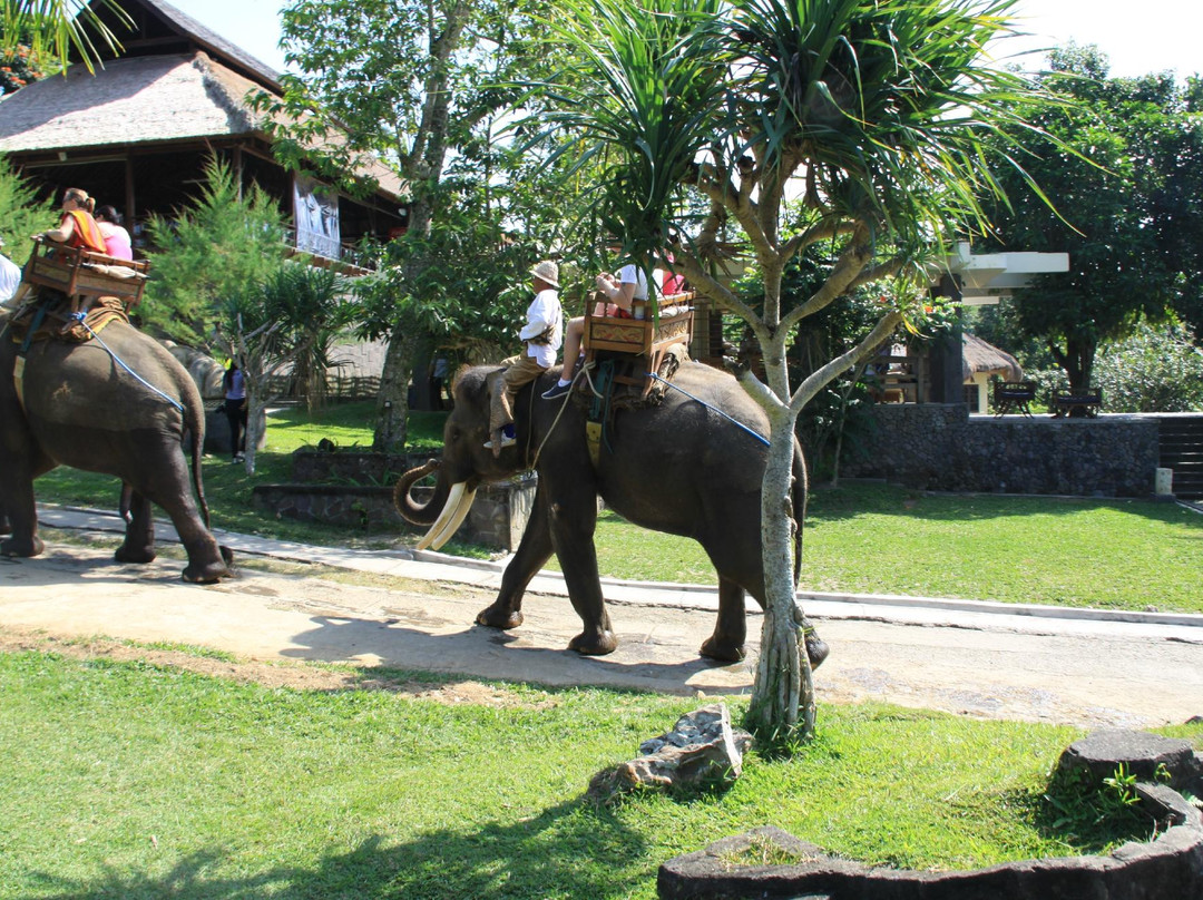 巴厘大象营-Carangsari必去景点