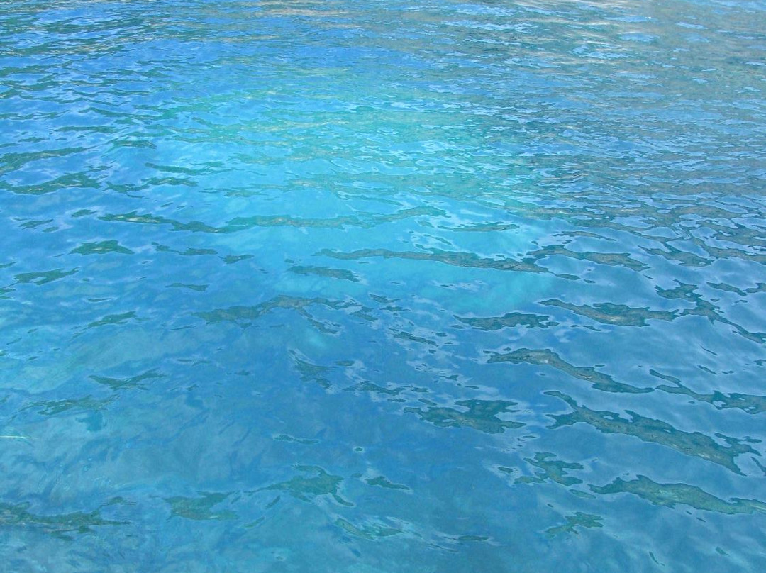 Hotel Il Giardino主图