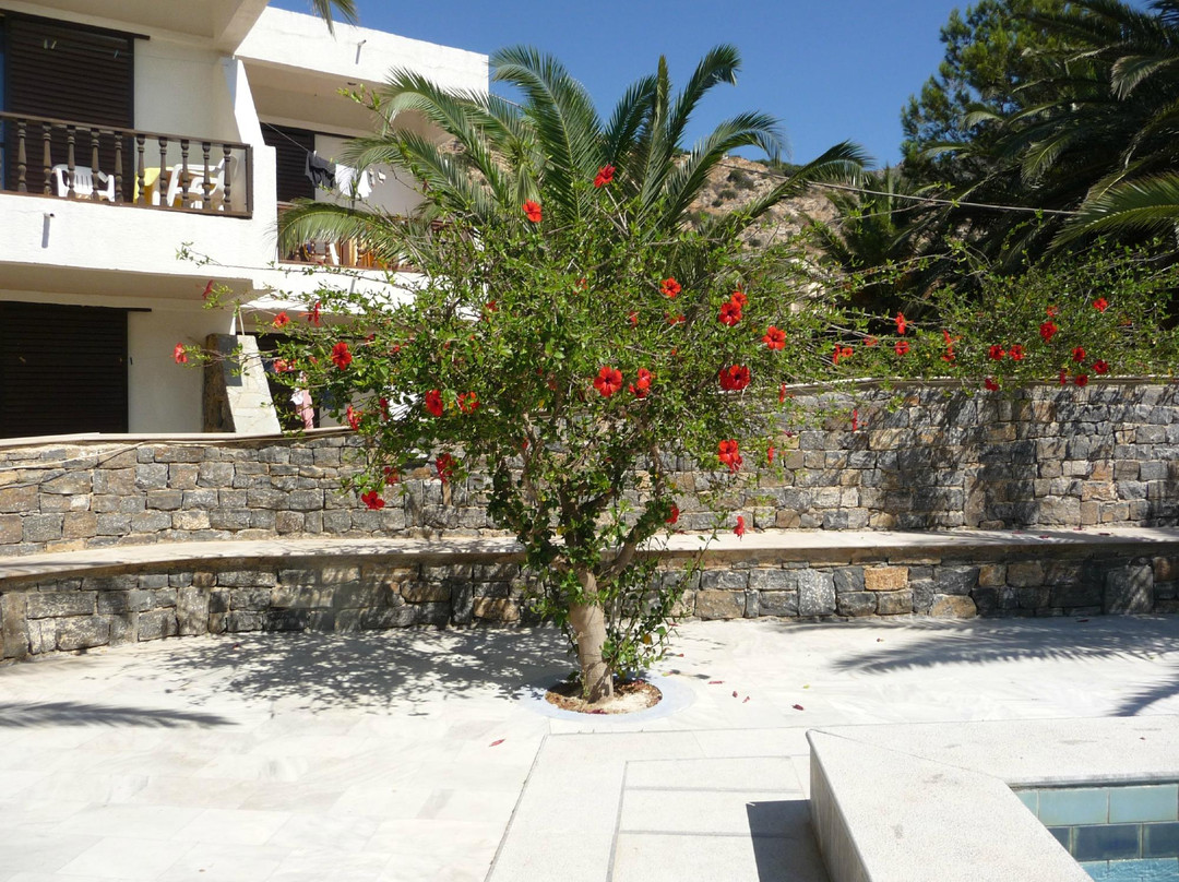 Avra Beach Studios