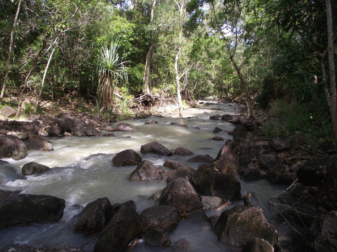 Cedar Creek Falls景点图片