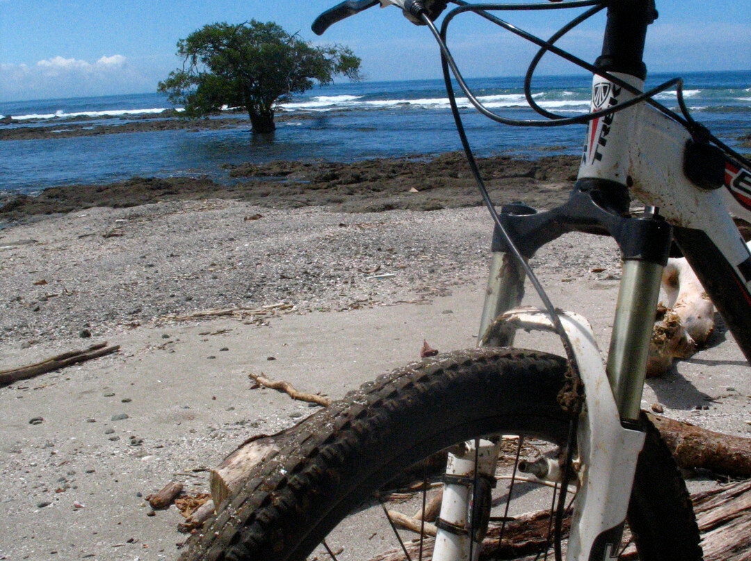 Montezuma Bike Tours景点图片