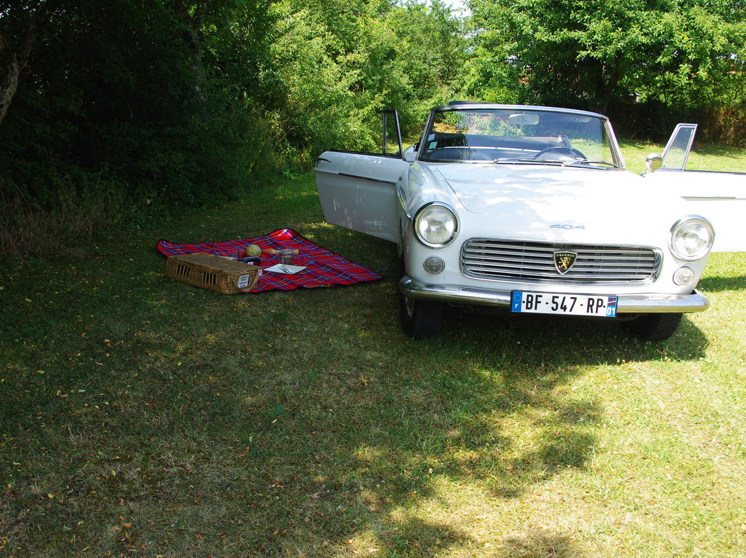 Old Cars Tour景点图片