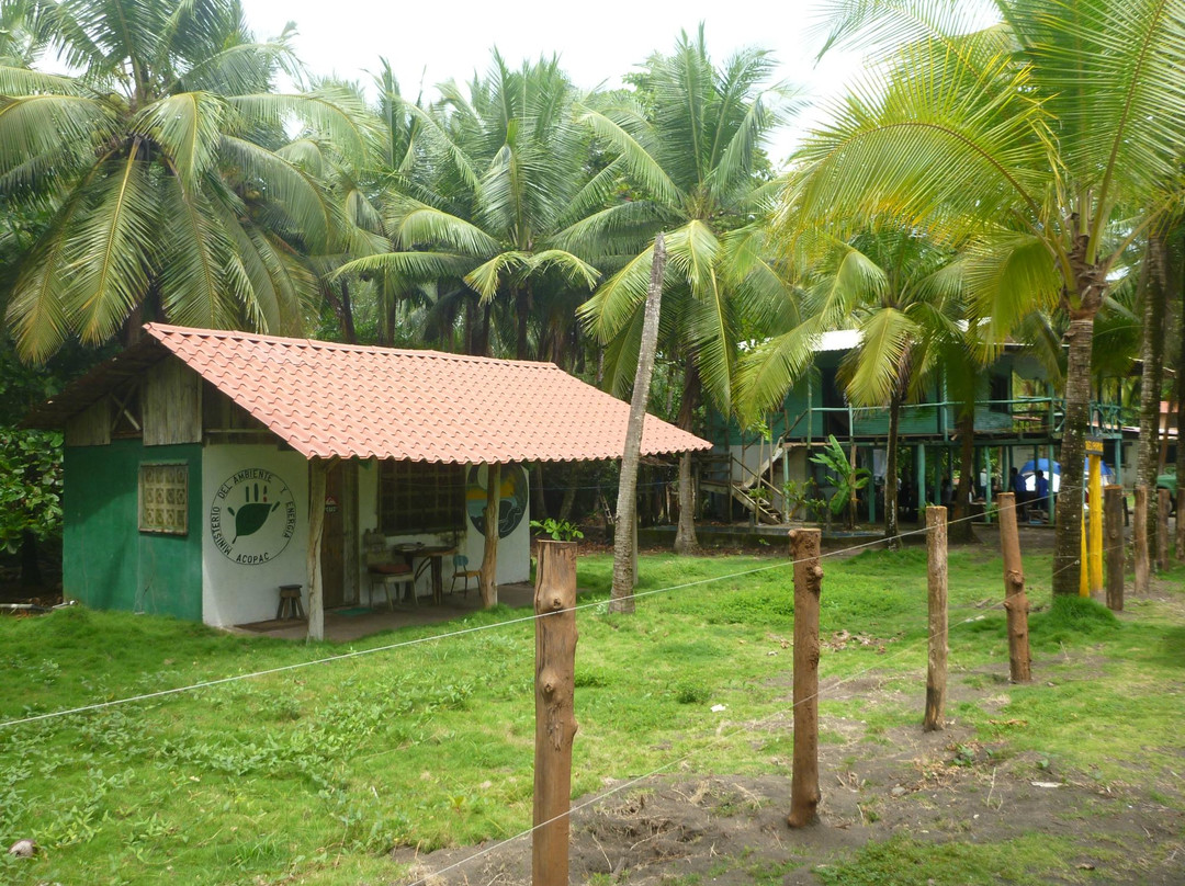 Playa Hermosa Wildlife Refuge景点图片