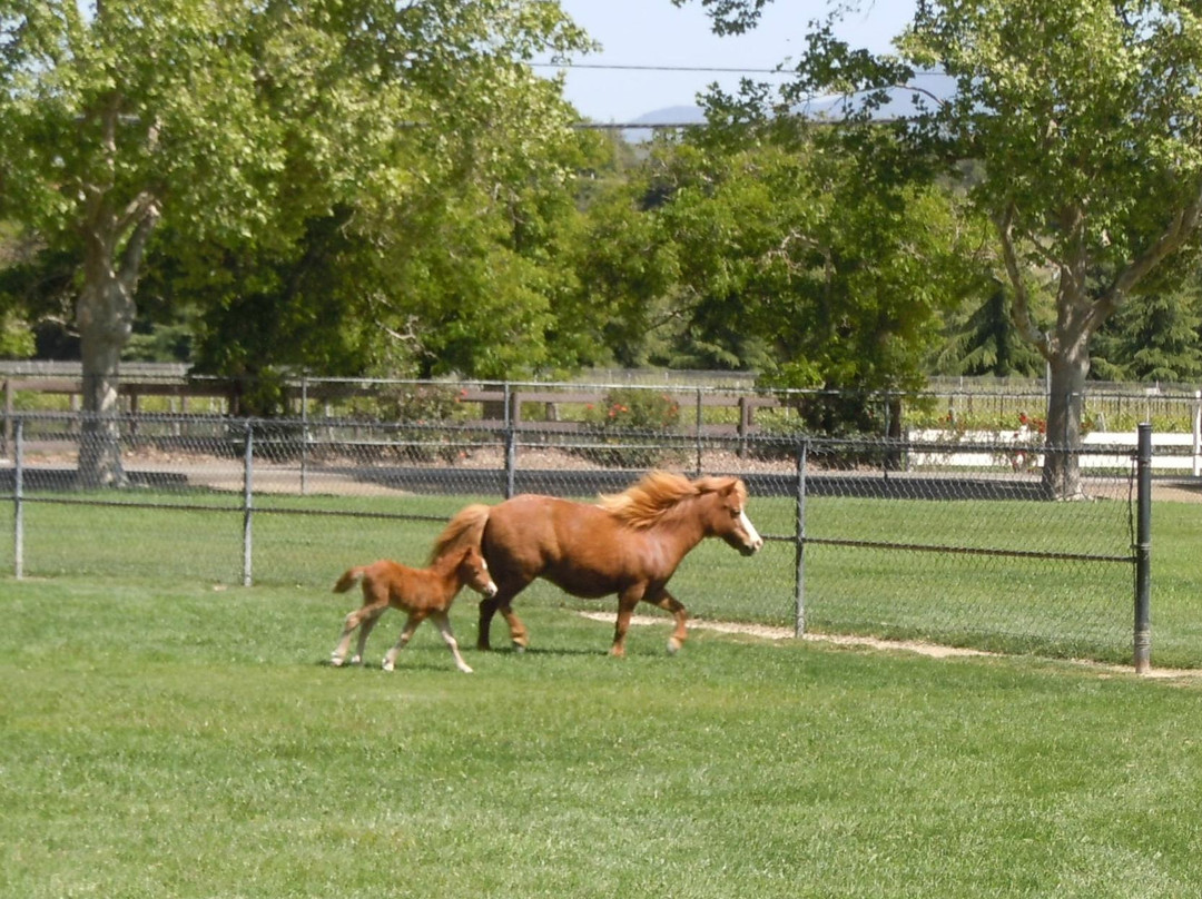 Quicksilver Ranch-索尔万必去景点