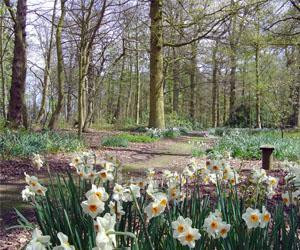 Hoveton Hall Gardens-诺威奇必去景点