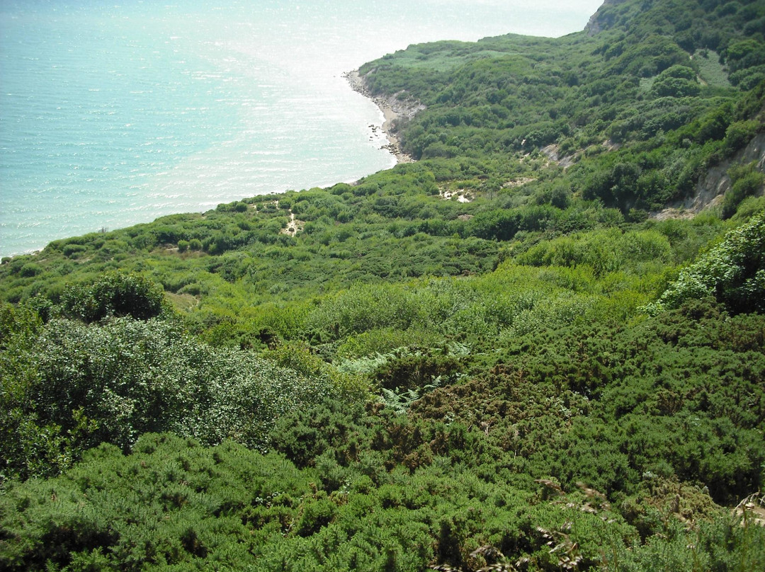 Hastings Country Park景点图片