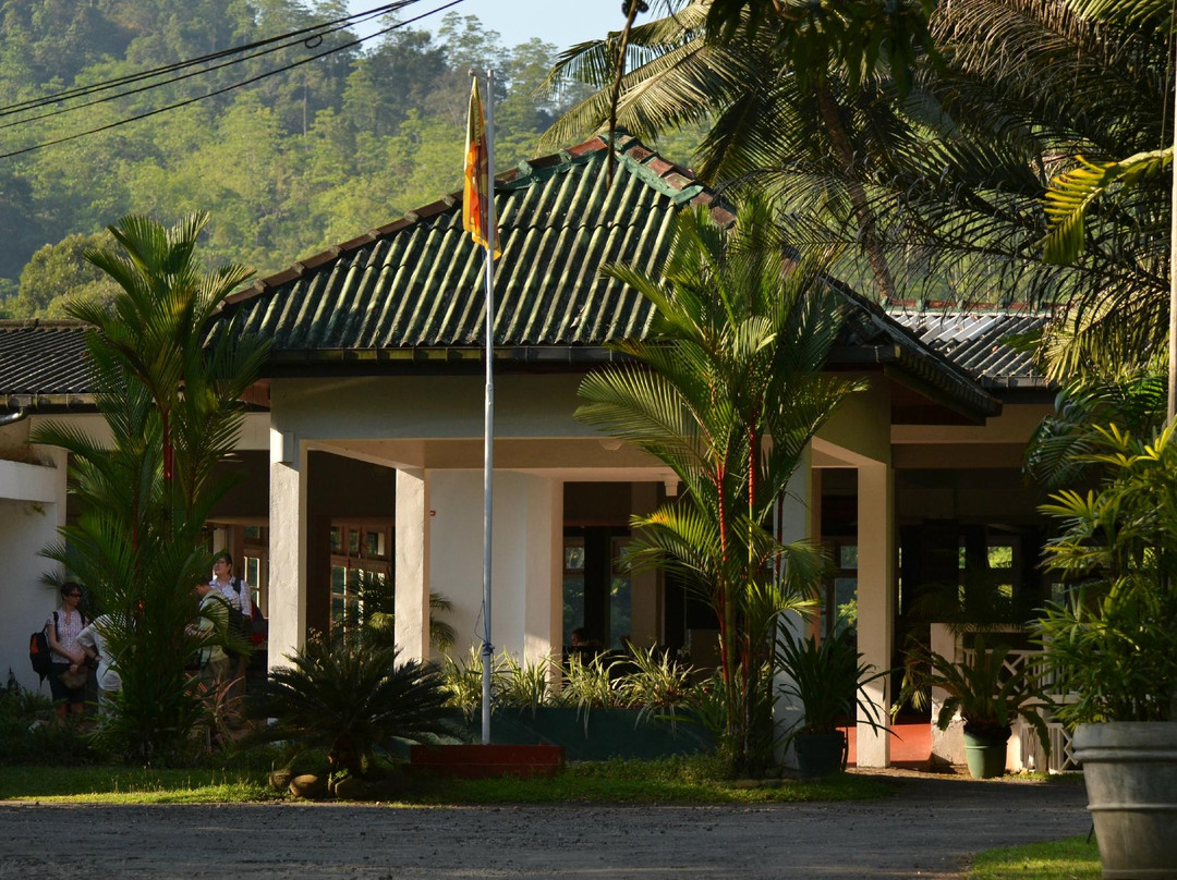 Kitulgala酒店住宿-Kithulgala Rest House