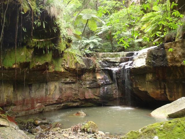 Carnarvon Gorge-Carnarvon National Park必去景点