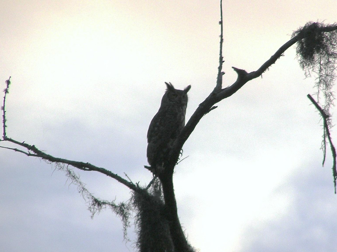 Arthur R. Marshall Loxahatchee National Wildlife Refuge-博因顿海滩必去景点