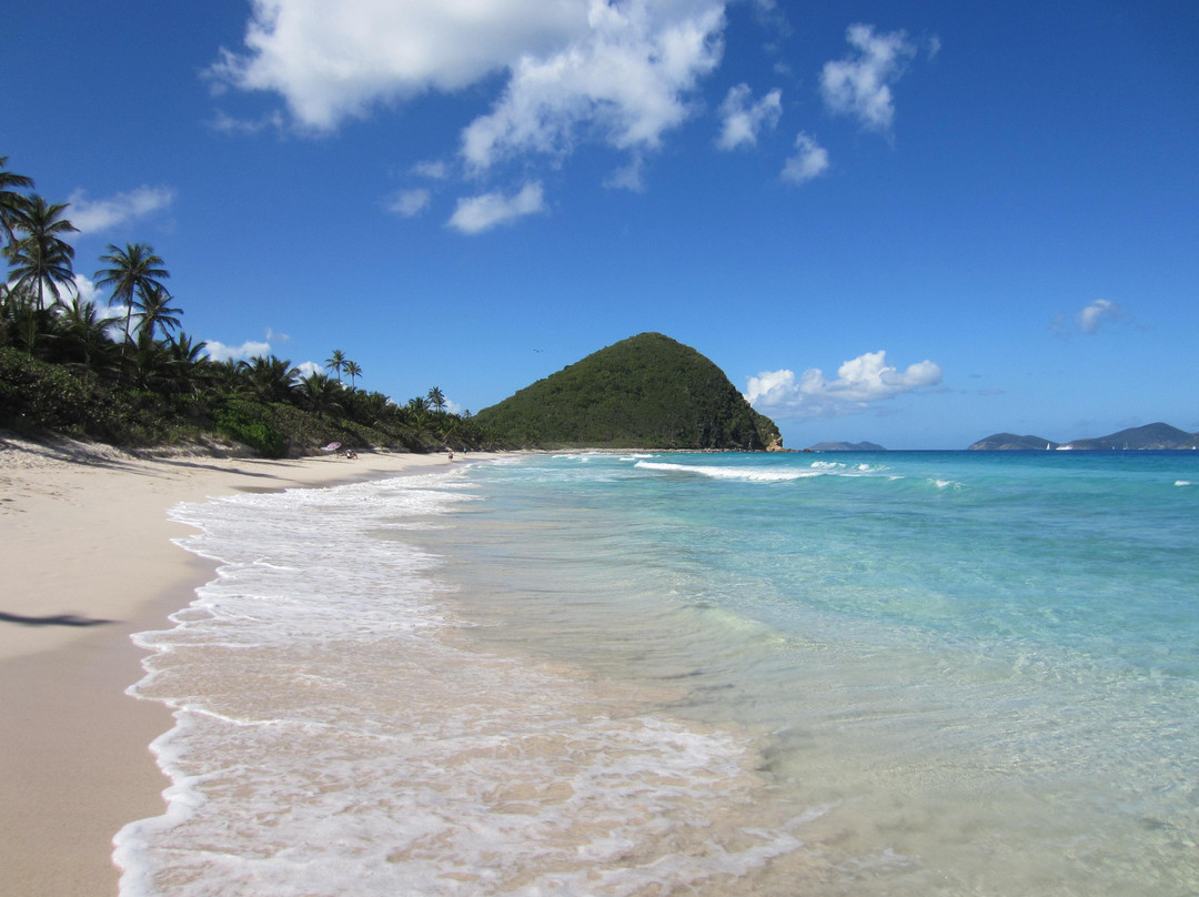 Long Bay Beach-托土拉必去景点