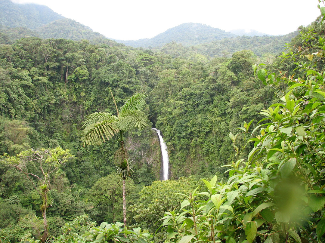 La Fortuna Waterfall景点图片