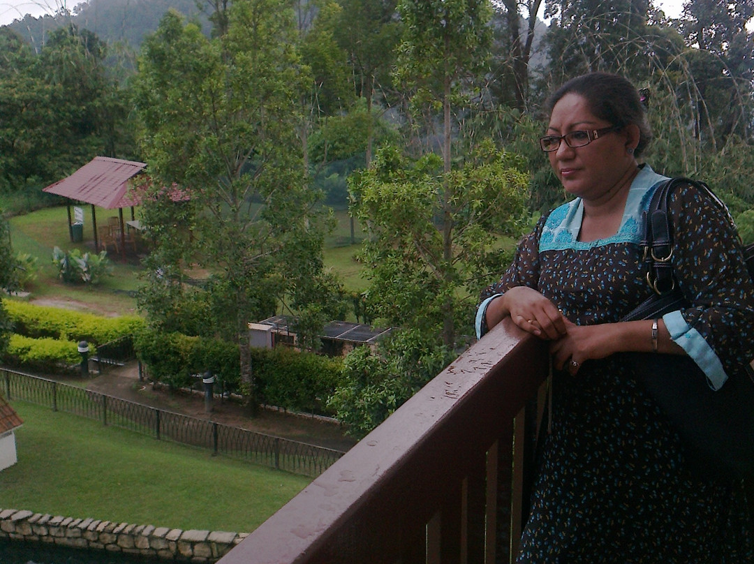 Bukit Tinggi Rabbit Farm-文冬必去景点