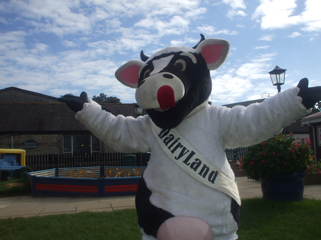 Dairyland Farm Park-纽奎必去景点