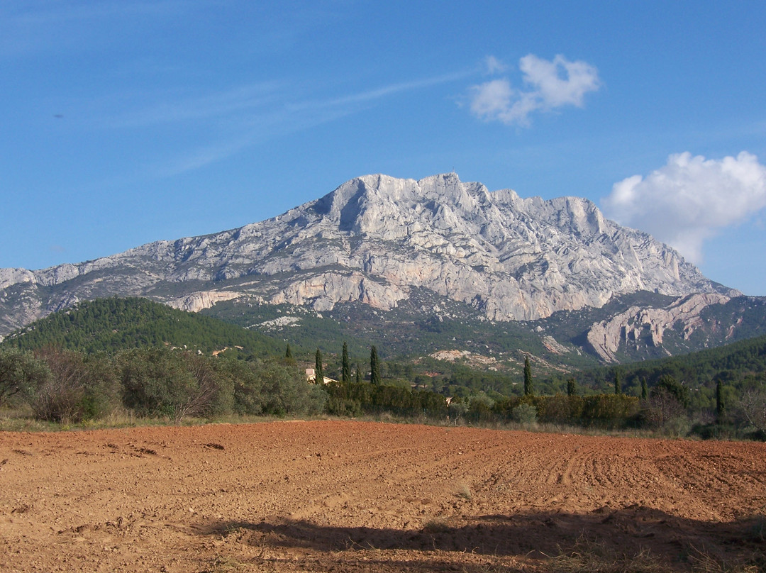 Provence Tours景点图片