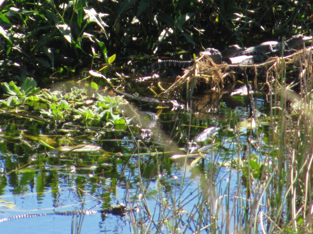 KICCO Wildlife Management Area-莱克威尔士必去景点