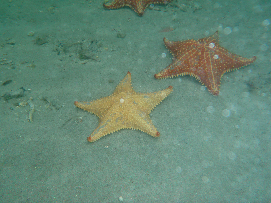 博卡德拉戈-博卡斯镇必去景点