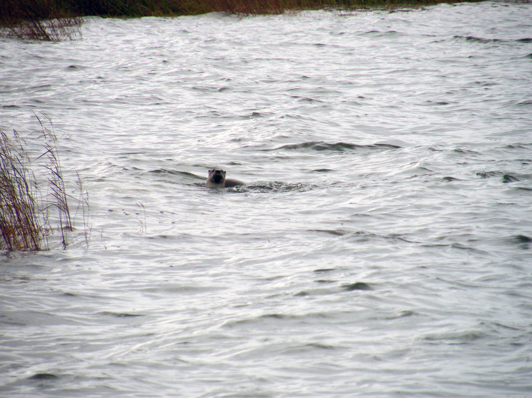 Naknek Lake-卡特迈国家公园及自然保护区必去景点