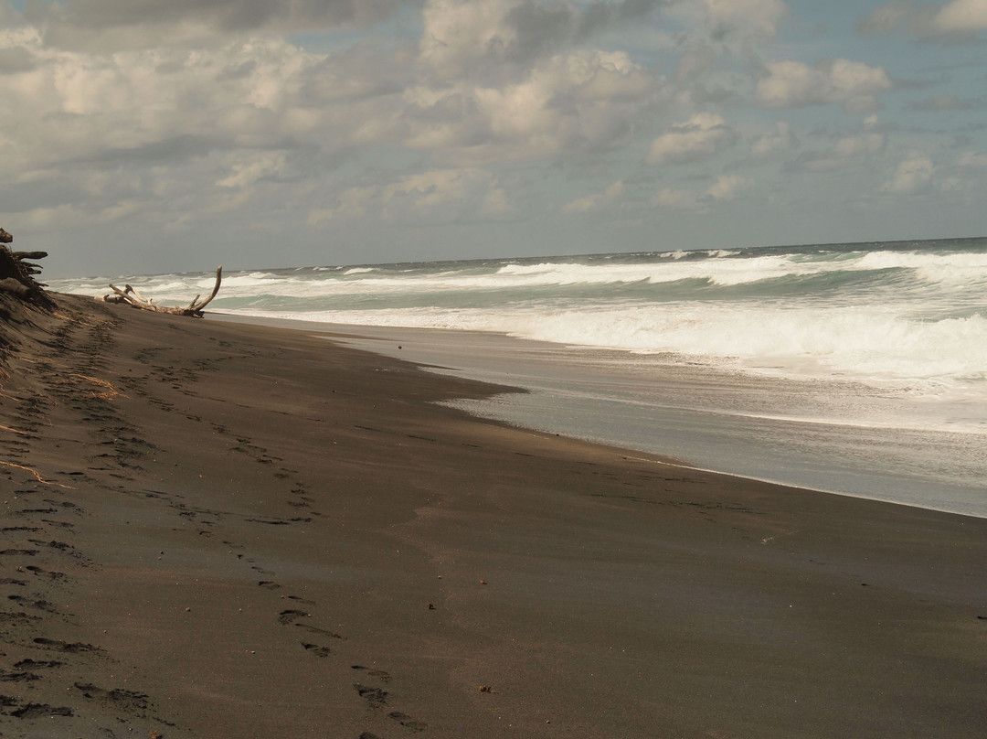 Sigatoka Sand Dunes National Park景点图片