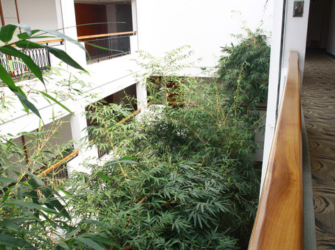 高明富湾湖酒店主图