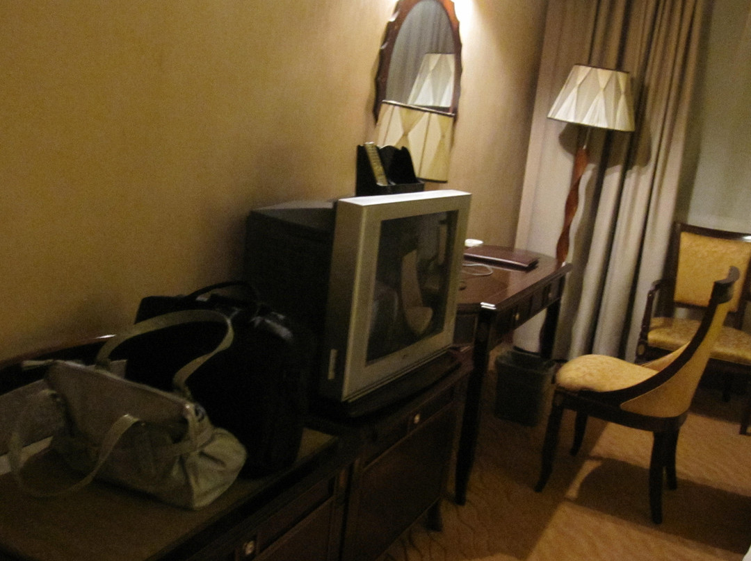 金星假日大酒店主图