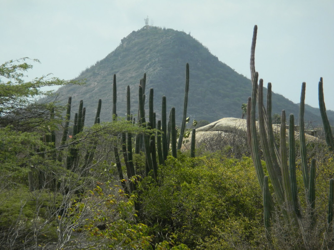 Hooiberg-奥腊涅斯塔德必去景点