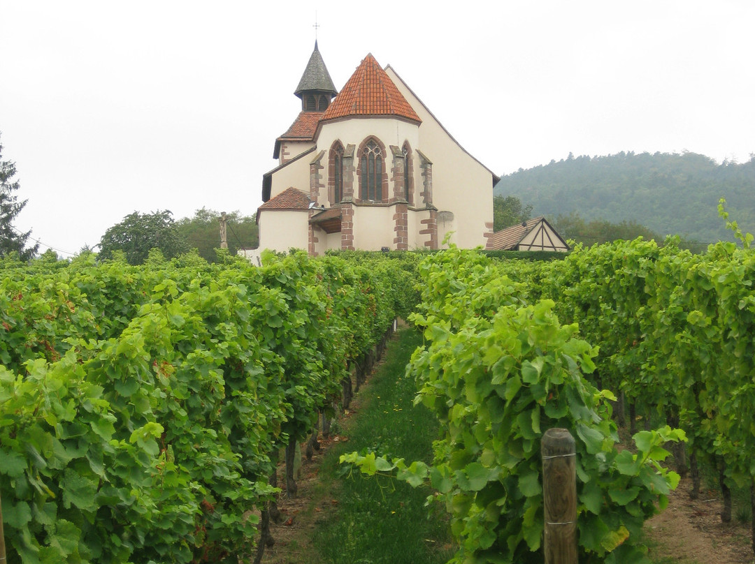 Willy Gisselbrecht Winery景点图片