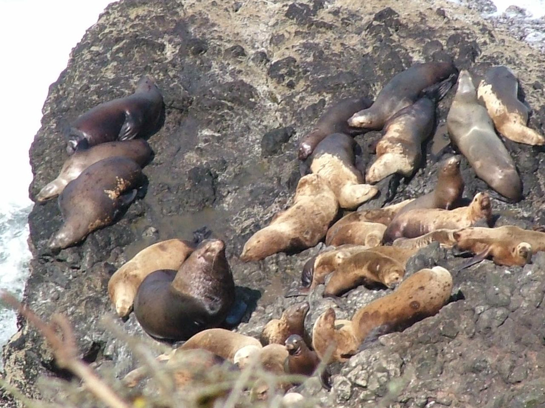 哈萨塔角灯塔-弗洛伦斯必去景点