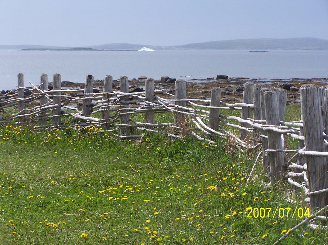L'Anse aux Meadows旅游攻略图片
